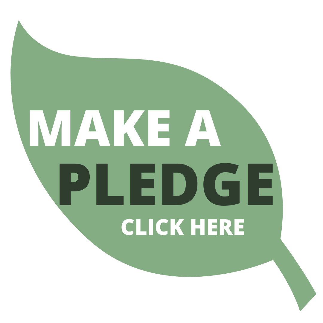 MAKE YOUR PLEDGE TODAY (2)